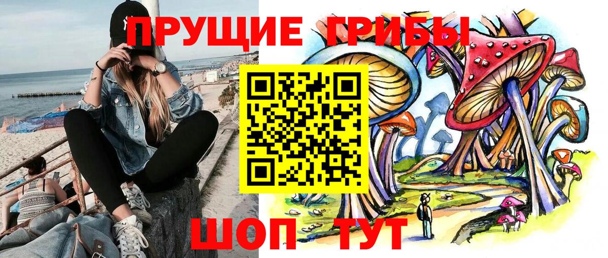 Псилоцибиновые грибы Psilocybine cubensis Туймазы